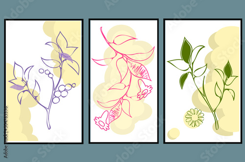 Set of three botanical drawings for wall decoration, covers, postcards