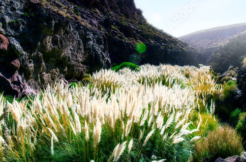 Puritama River hot waters photo