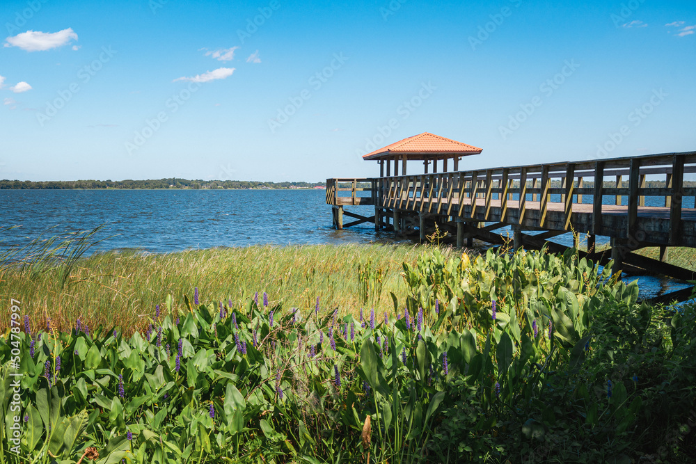 Obraz premium Griffin Park fishing pier on Little Lake Harris in Howie in the Hills, Florida