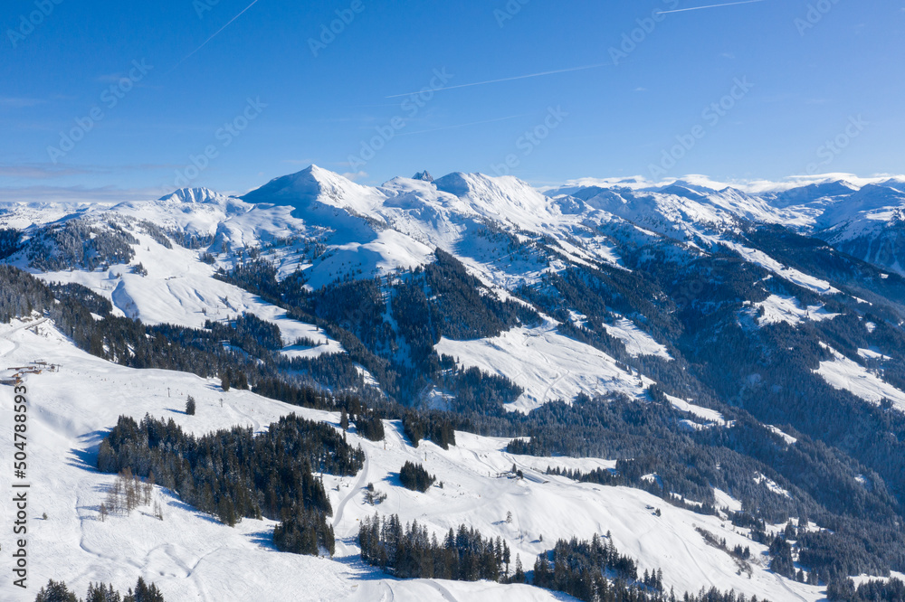 Aerial view of the mountain range and pine forests against the blue sky.