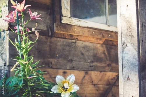 Rustic wood and flowers