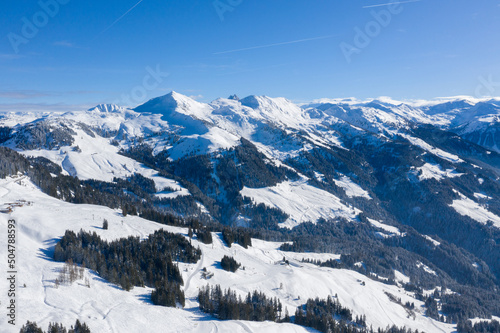 Aerial view of the mountain range and pine forests against the blue sky.