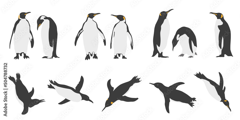 Fototapeta premium penguins 2022