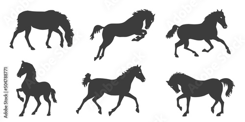 Fototapeta Naklejka Na Ścianę i Meble -  horse silhouettes vol1