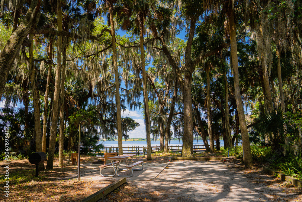 Trimble Park a lakeside park with RV camping sites in Mount Dora