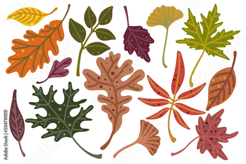 Set of colorful autumn leaves.Flat vector graphic.