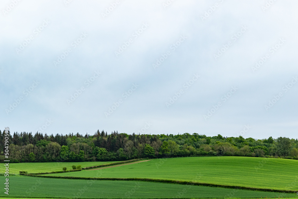 green field and sky green field and sky