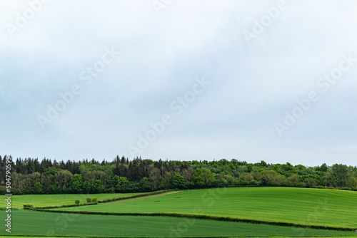 green field and sky © Vas