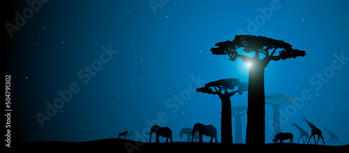 safari, paesaggio, africano, savana, africa