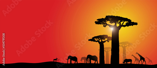 safari, paesaggio, africano, savana, africa