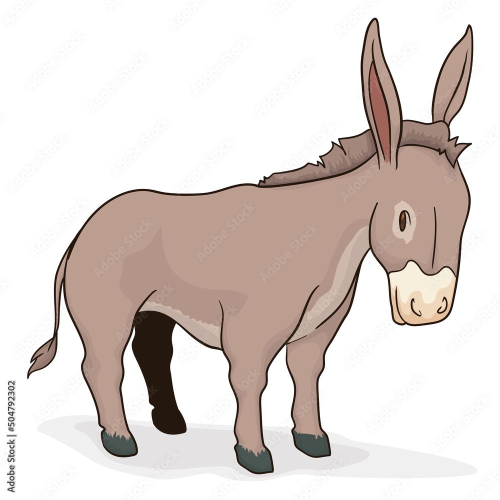 Cute brown donkey in cartoon style over white background, Vector illustration