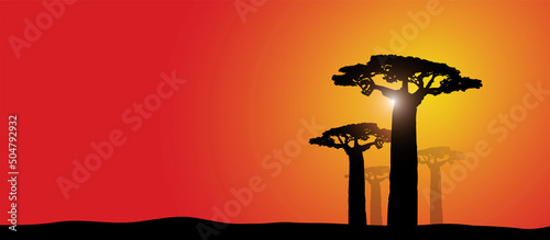 paesaggio, africano, savana, africa, safari