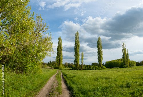 landscape, sky, nature, tree, field, grass, summer, green, forest, meadow, cloud, blue, clouds, trees, spring, countryside, rural, country, autumn, environment, land, hill, agriculture, beautiful, out