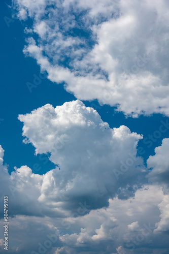 Canvas Print blue sky with white clouds - use for sky replacement - portrait mode - instagram