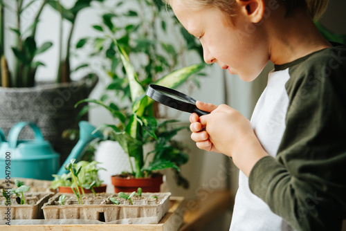 Curious boy next to a window sill, looking at plant through a magnifying glass photo