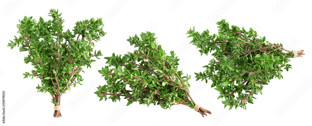 Thyme isolated on white background, full depth of field, clipping path Thyme isolated on white background, full depth of field, clipping path