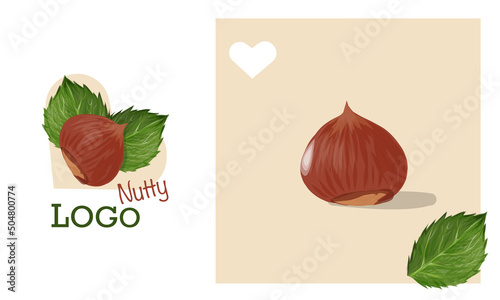 Hazelnut in green leaves, hand drawn realistic vector. Nut logo concept (ID: 504800774)