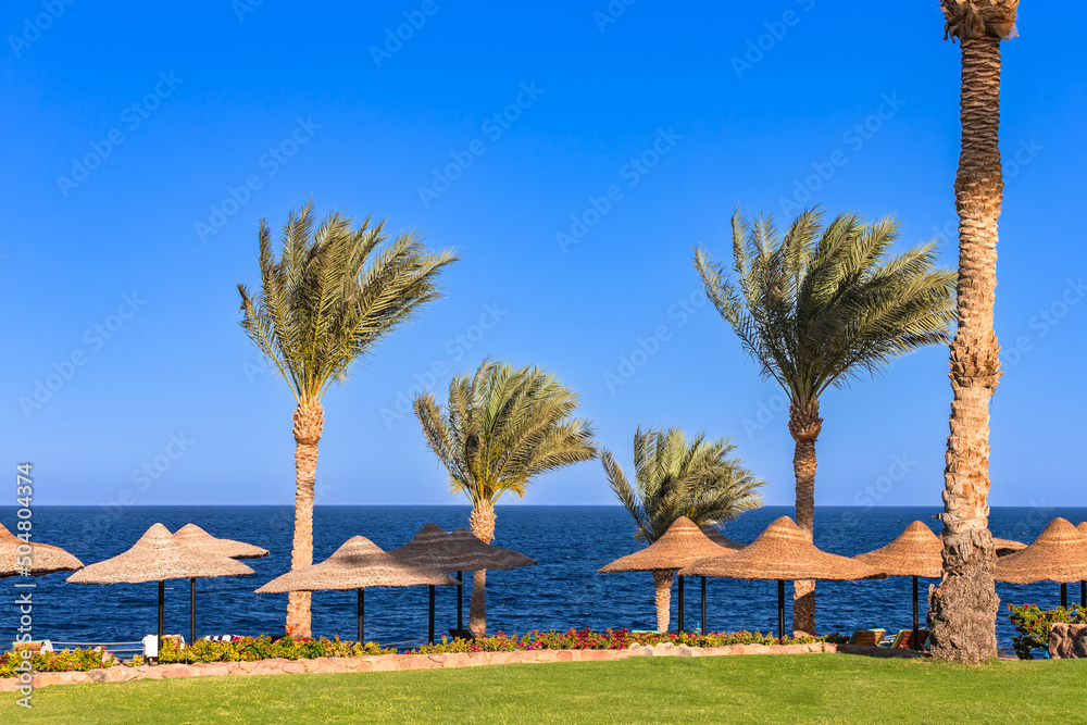 Beach view in Sharm El Sheikh. Egypt. Beach view in Sharm El Sheikh. Egypt.