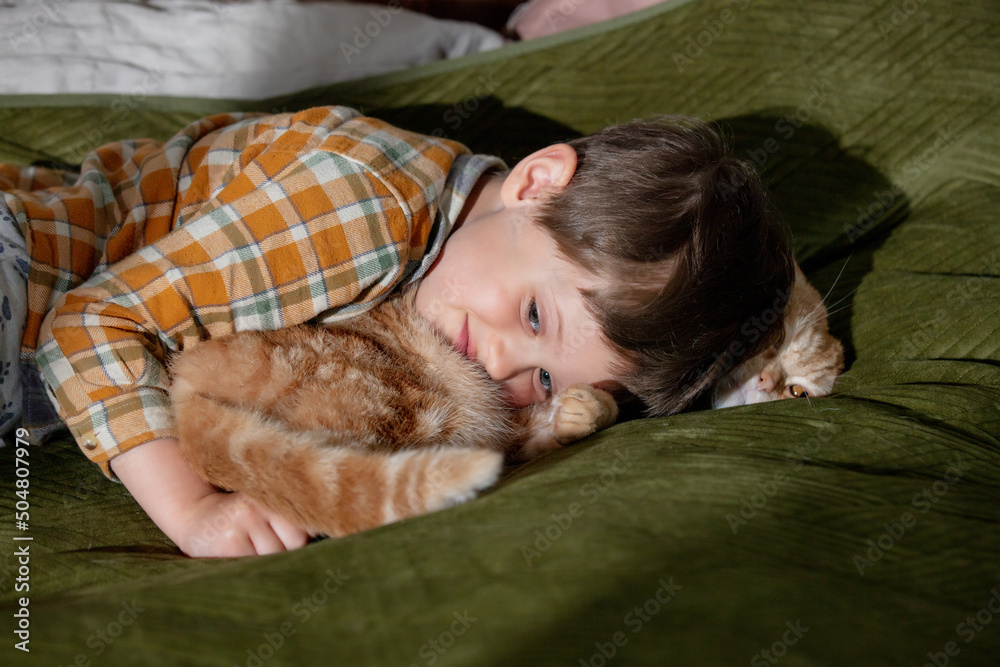 little boy hugging a cat lying on the bed little boy hugging a cat lying on the bed