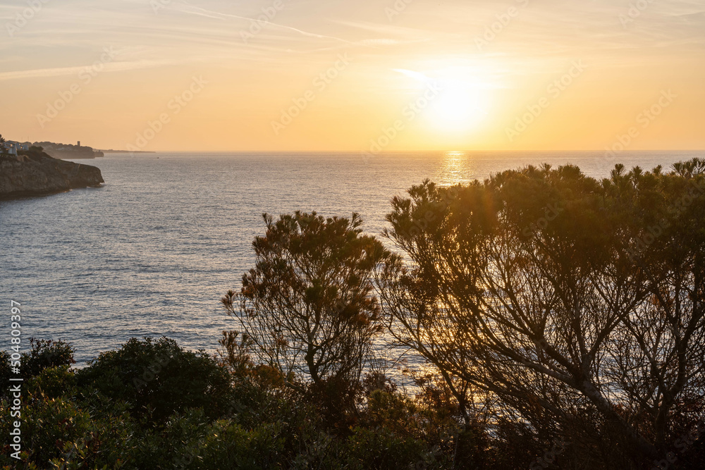 sunrise or sunset over the mediterranean sea, mallorca, spain - some trees in the foreground