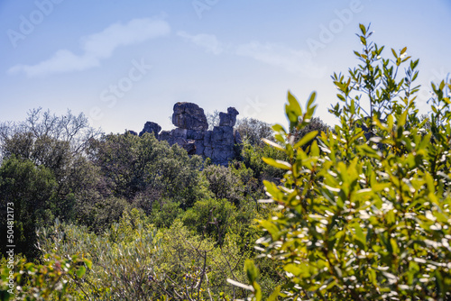 Mer des rochers or sea of rocks, a chaos of limestone rocks, in  Sauve, Gard, South of France