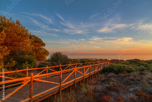 Weathered lumber path leading to calm sea during beautiful sunset