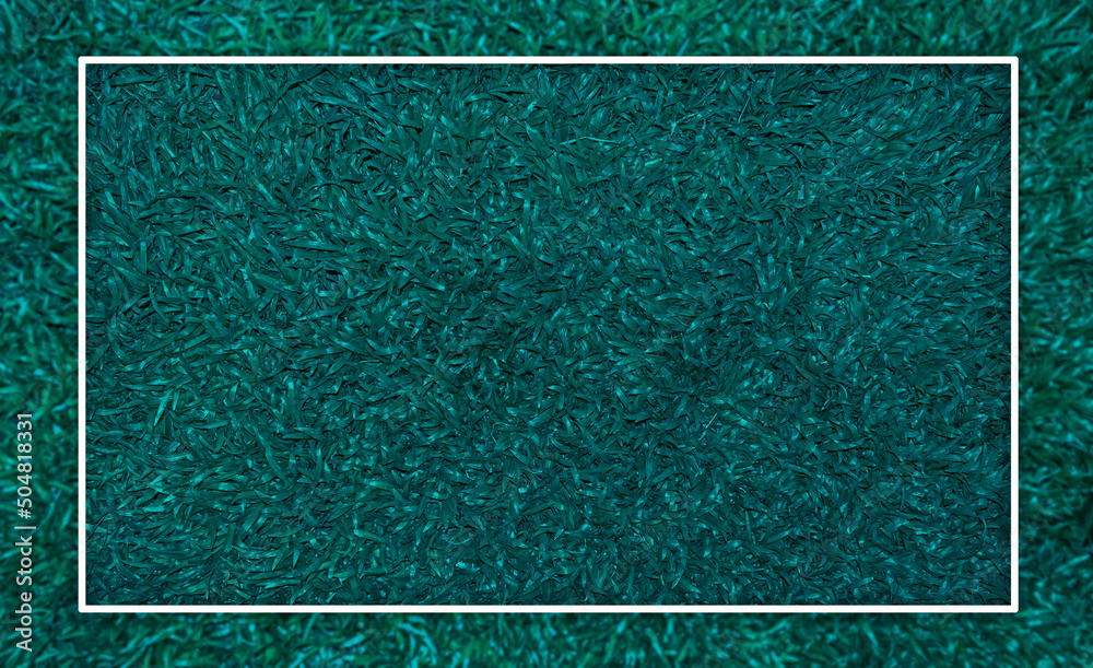 Fototapeta premium background with grass