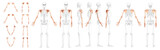 Set of Skeleton upper limb Arms with Shoulder girdle Human front back side view with partly transparent bones position. Hands, clavicle, scapula, forearms realistic flat Vector illustration of anatomy