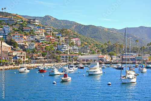 Bild auf Leinwand Boats anchored at Avalon Harbor with homes on the hillside in Santa Catalina Isl