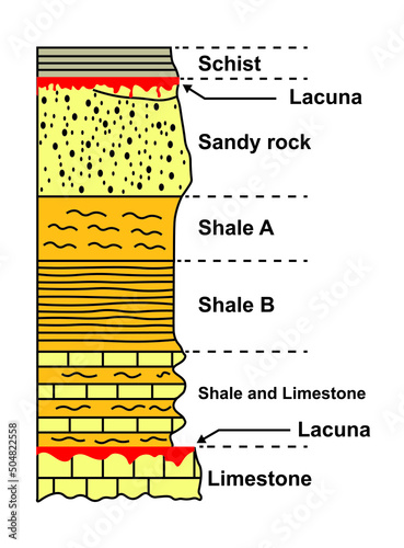 Stratigraphic Laguna Scheme. Stratigraphic Column. Vector Illustration. photo
