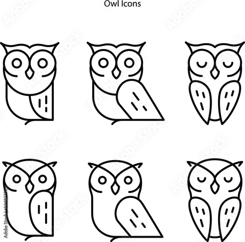 the owl icons. Isolated contour drawing of a bird, funny owl isolated black outline on white for a template for childrens design,