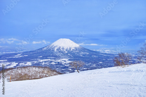 春スキーのニセコスキー場、樹木と羊蹄山