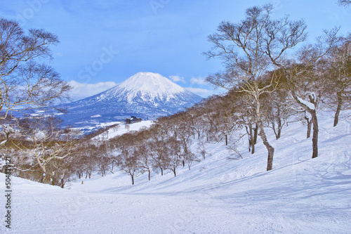 春スキーのニセコスキー場、森林コース内から見える羊蹄山
