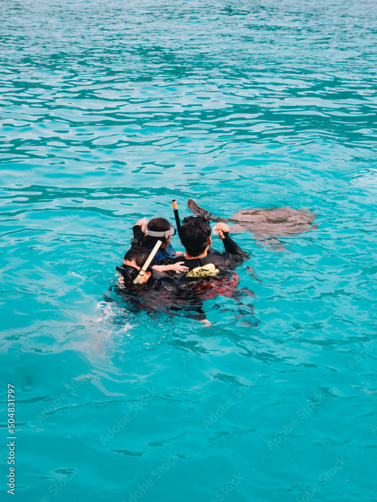 Father and child snorkeling with turtle in a crystal clear sea. View from behind.