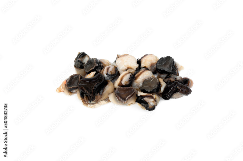 Obraz premium Fresh brown apple snail isolated on white background.