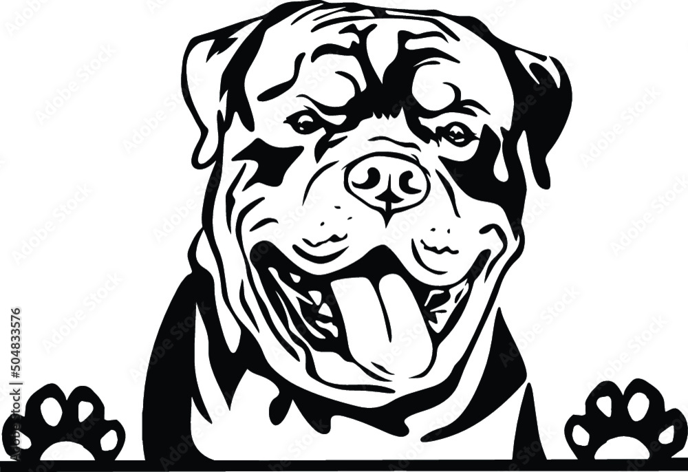 Boxer Mastiff Peeking Dog Canine Pup Puppy Pet Mom Cute Paws Waiting Pooch Tongue Nose Face Head Funny Animal