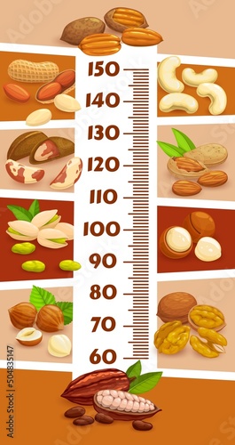 Height chart, kids growth ruler with cartoon nuts and cocoa beans. Child height chart, vector growth measure meter. Kids height scale with walnut and peanut, pistachios, hazelnut, and almond nuts