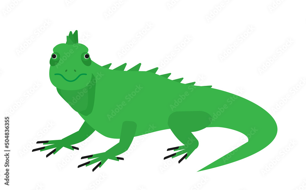 Obraz premium green iguana vector flat illustration isolated on white background