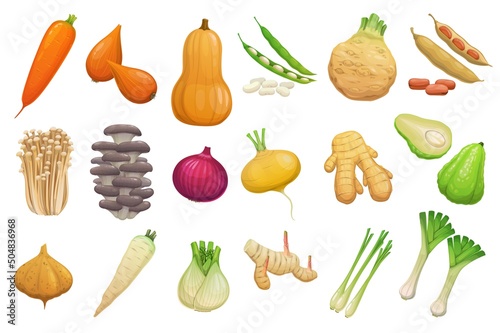 Cartoon vegetables, beans and mushrooms. Vector carrot, butternut pumpkin, shallots and celery tuber. Broad beans, enoki and oyster mushrooms, onion, ginger root and chayote or jicama with parsnips photo