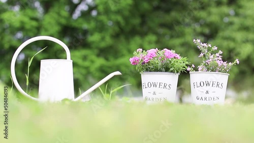 涼しい木陰でプランタの花に水やりして夏もガーデニングを楽しむ