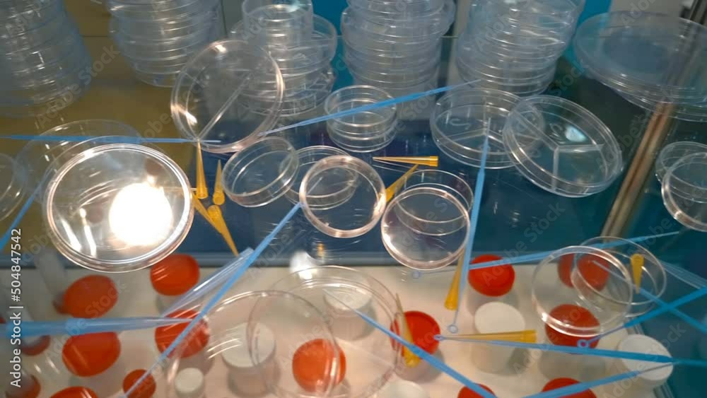 New sets of bacteriological loops, pipette tip, petri dishes are