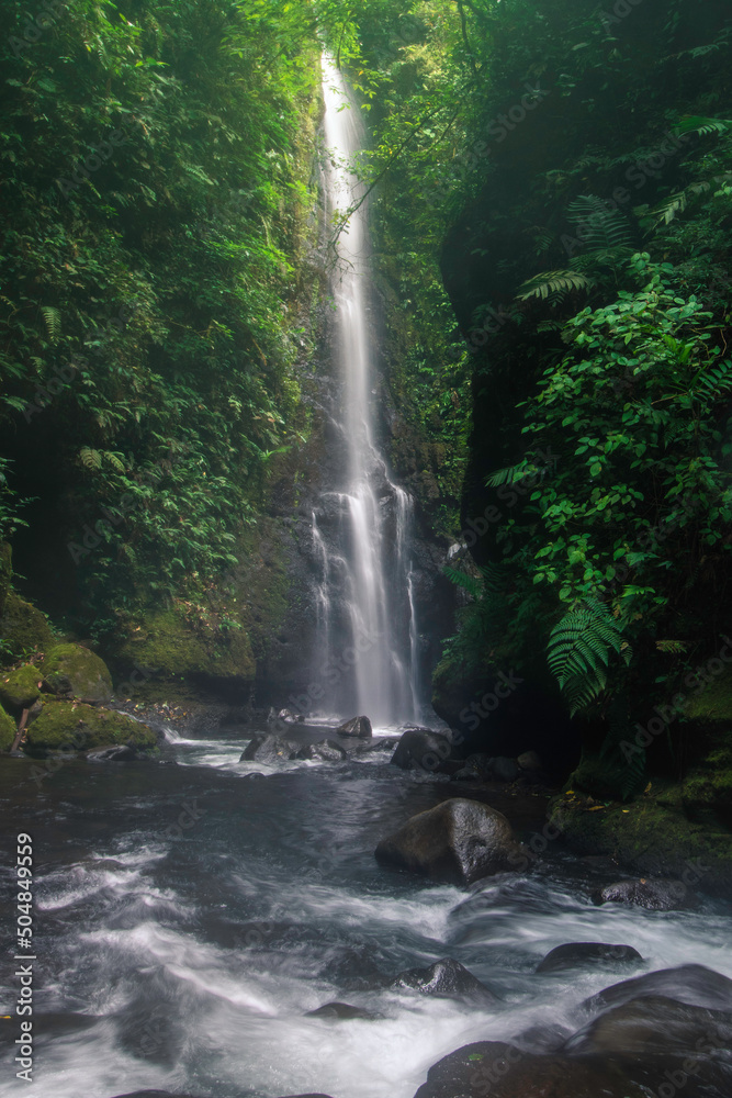 waterfall and a freshwater river surrounded by vegetation in the middle of the humid tropical jungle of Costa Rica
