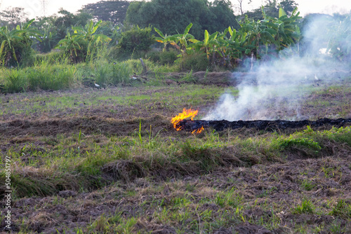 Crop burning is the deliberate burning of a farm's field, to make way for a new crop in countryside of asia. Crop burning is a source of black carbon, pm 2.5, smoke contributing to air pollution.  © settapong