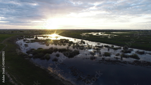 Aerial view of the swamp before sunset