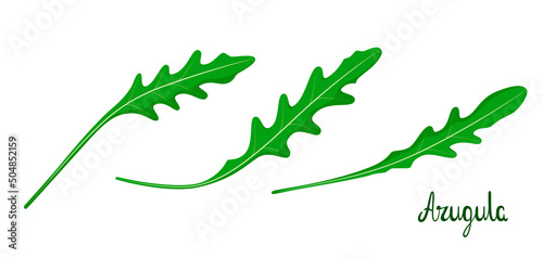 Arugula leaves on a white background. Herbs.

