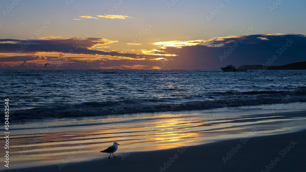 Beautiful sunset beach - Perth Western Australia