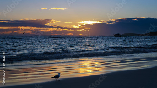 Obraz na płótnie Beautiful sunset beach - Perth Western Australia w salonie