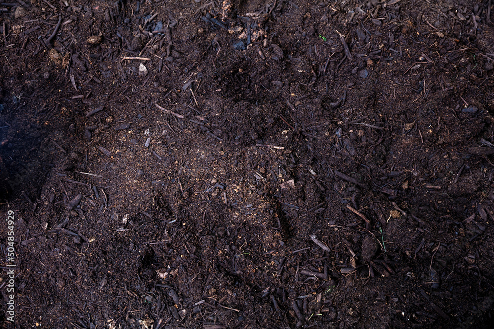 Soil texture background, top view. Dirt, earth, ground. Agriculture and garden work template Soil texture background, top view. Dirt, earth, ground. Agriculture and garden work template