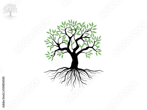 Trees and root with green leaves look beautiful and refreshing. Tree and roots LOGO style.