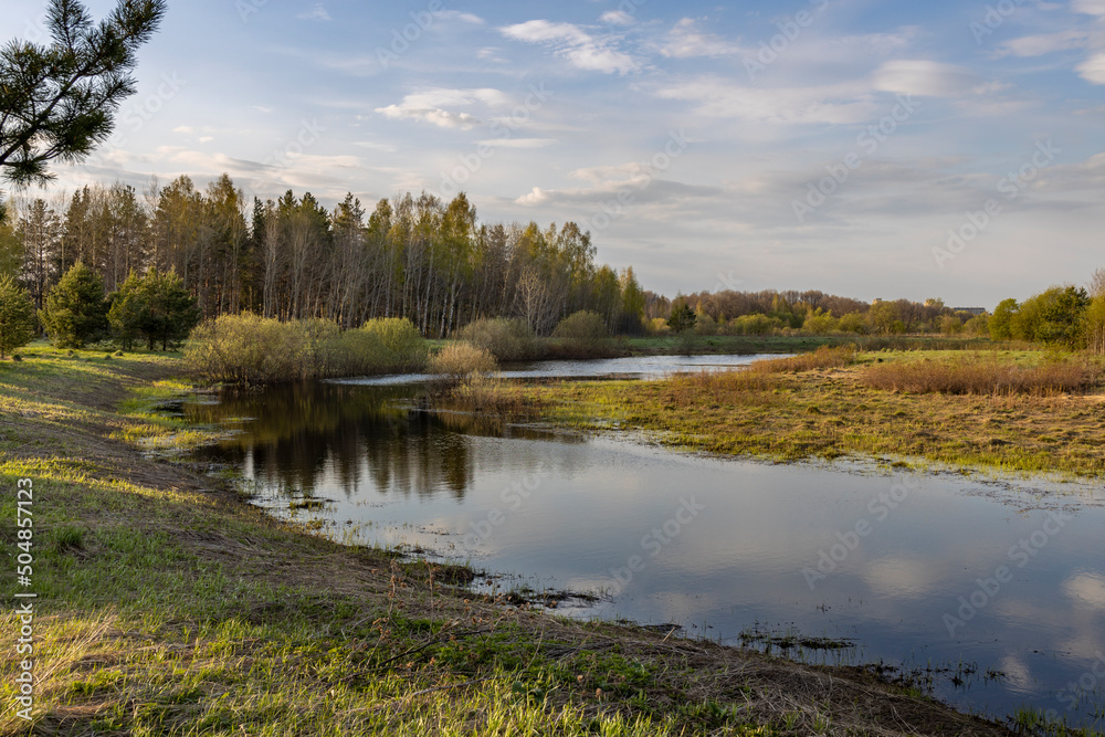 Picturesque landscape in early spring. Sunny evening. Young greens break through dry grass. By the river.